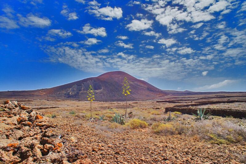 Fuerteventura: Trekking Tour Through the North of the Island - Exploring Fuerteventura’s Northern Landscapes on a Trekking Adventure