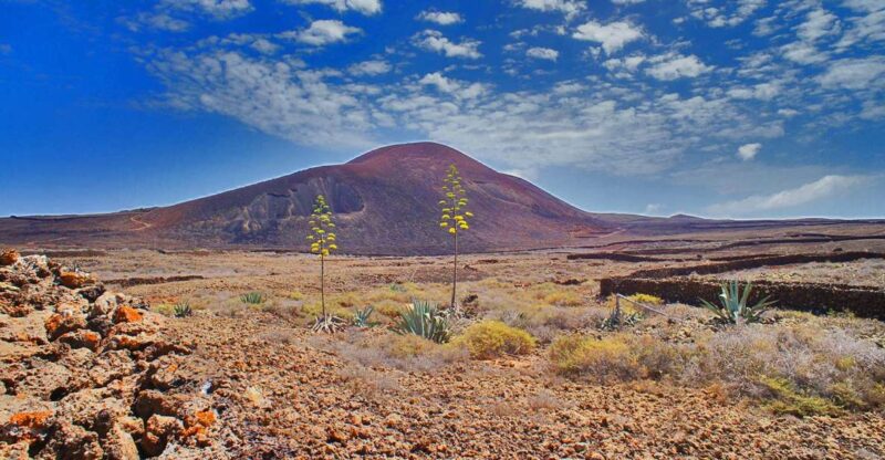 Fuerteventura: Trekking Tour Through the North of the Island - Walking Through Fossilized Dunes and Ancient Canyons