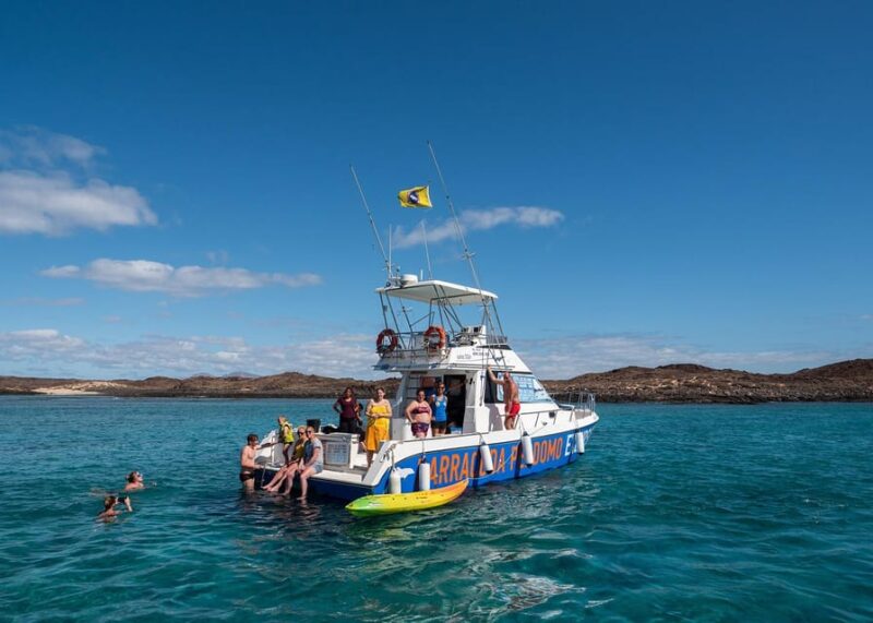 Fuerteventura: Whale & Dolphin Watching Boat Tour with Guide - Scenic Journey Along the Coasts of Lanzarote and Fuerteventura