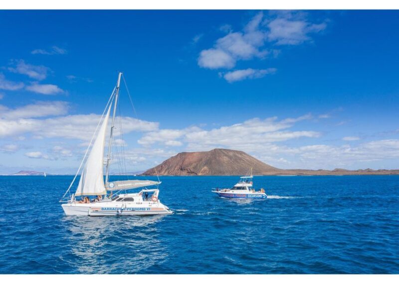 Fuerteventura: Whale & Dolphin Watching Boat Tour with Guide - Snorkelling at Lobos Island (Weather and Time Permitting)