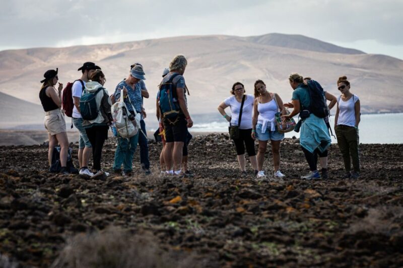 Fuerteventura: Wild Coast and Legends Hike - Comparing the Tour to Other Options