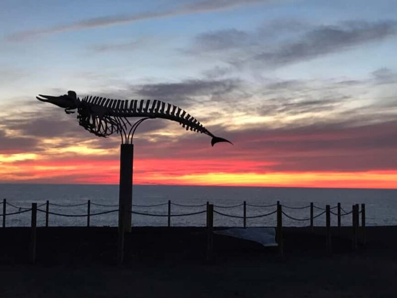 Fuerteventura: Wine Tasting and El Cotillo Afternoon Escape - Limitations and Considerations