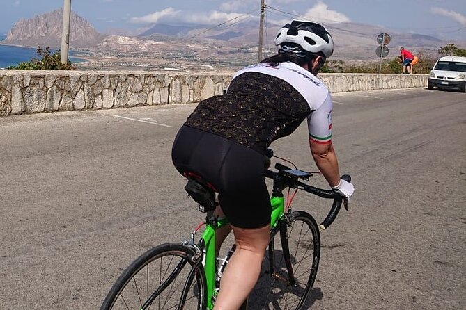 Full Carbon Road Bike Rental - Versatility for Different Cycling Adventures