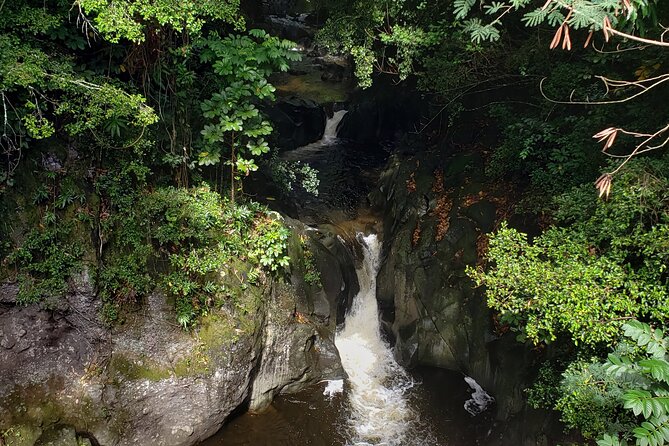 Full-Circle "Reverse" - Luxury Road to Hana Tour from South Maui - Exploring the Upcountry Maui Towns and Mount Haleakala Lava Flows