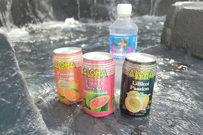 Full-Circle "Reverse" - Luxury Road to Hana Tour from West Maui - Customer Experience and Recommendations