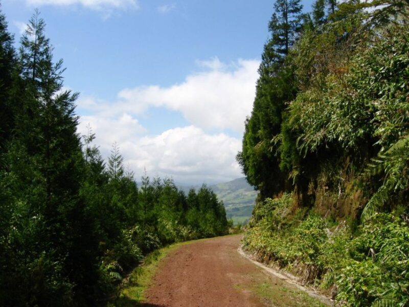 Full-Day 4x4 Nordeste Azores Tour from Ponta Delgada - Discover the Nordeste Region in a 4x4 Vehicle