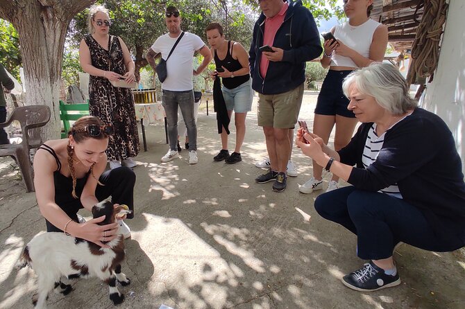 Full Day 4x4 Self-Drive Safari Tour in Crete with BBQ Lunch - Logistics & Practical Tips for Participants