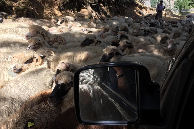 Full Day 4x4 Tour in the Eastern Carpathians - Starting the Adventure in Miercurea-Ciuc at Carpathian Escapes