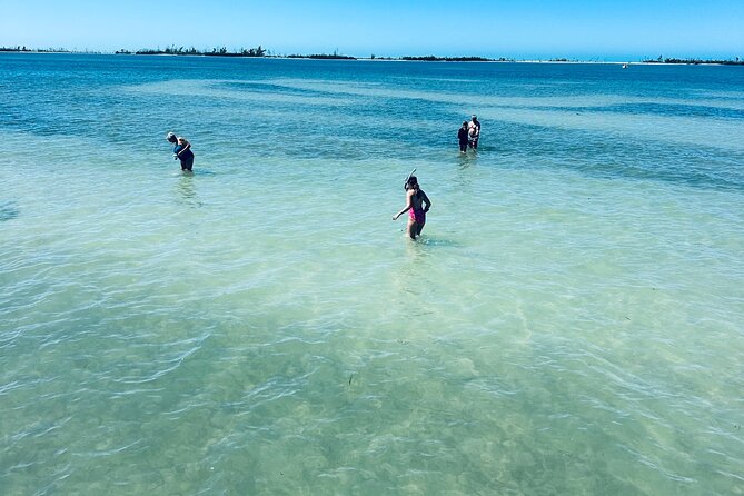 Full Day (6 hours) Sanibel Eco Boat Charter, Gulf and Pine Island - The Activities and Stops in Detail