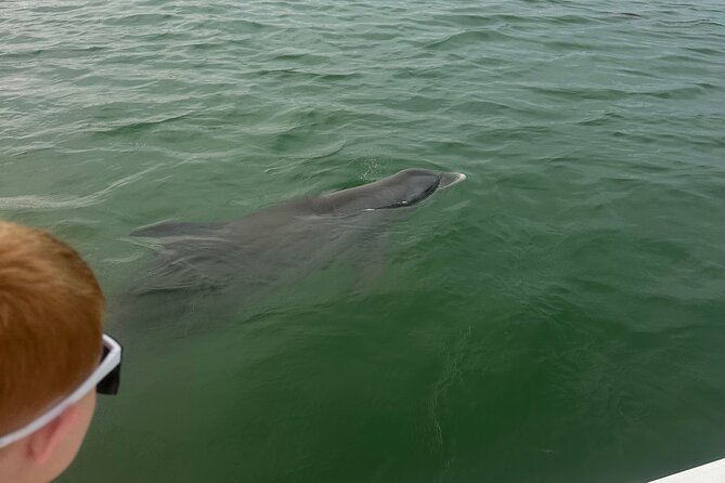 Full Day (6 hours) Sanibel Eco Boat Charter, Gulf and Pine Island - Logistics: Meeting Point and Accessibility