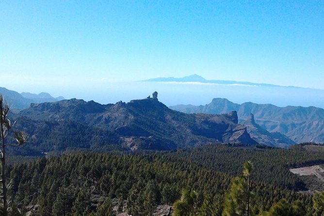 Full Day Across the Island Tour from Las Palmas - Discovering San Bartolomé de Tirajana