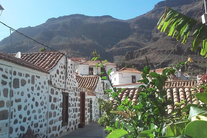 Full Day Across the Island Tour from Las Palmas - Lunch and Free Exploration in Fataga