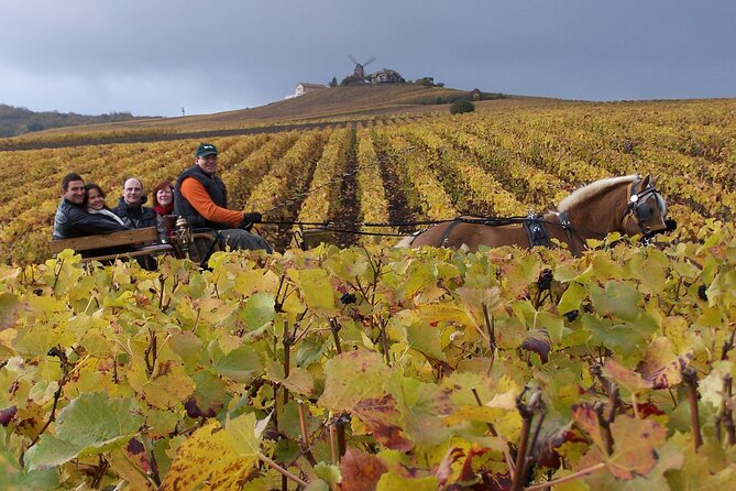 Full Day All-inclusive Tour in Champagne from Paris in a Minivan - Explore Champagne in Comfort and Style from Paris