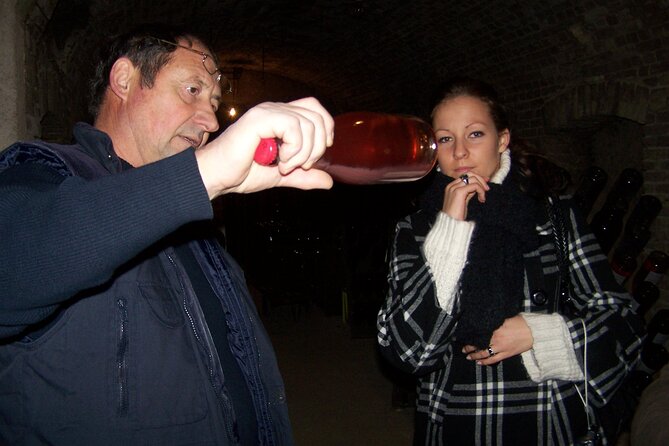 Full Day All-inclusive Tour in Champagne from Paris in a Minivan - Pommery Estate’s Roman Chalk Pits and Modern Art