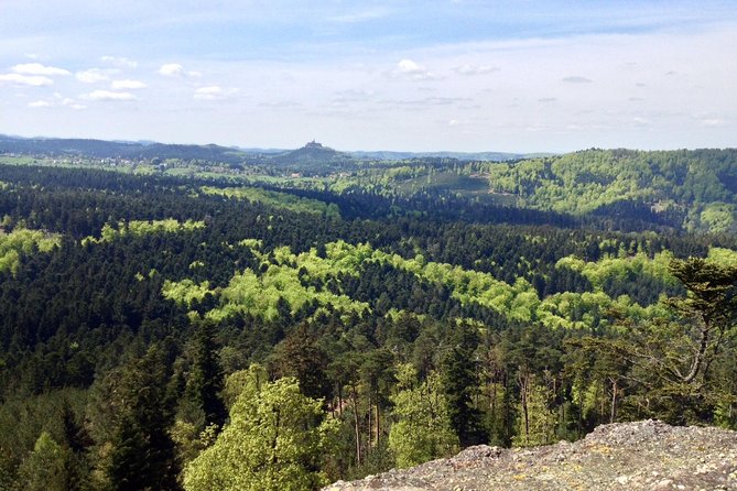 FULL DAY ALSACE PRIVATE TOUR : Tailored by your Friendly Driver - Guides and Personalization: Knowledgeable and Friendly