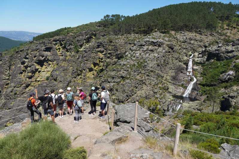 FULL DAY - ALVAO PARK - FISGAS ERMELO WATERFALLS W/ TRANSFER - Traditional Cuisine and Refreshing Vinho Verde