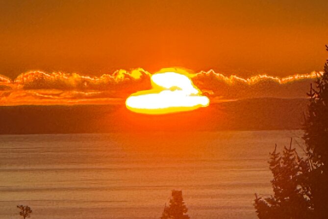 Full Day Anchorage Tour with Alaskan Guide - Panoramic Views from Flattop Mountain Trail