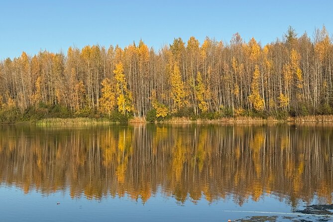 Full Day Anchorage Tour with Alaskan Guide - Scenic Stop at Beluga Point along Turnagain Arm