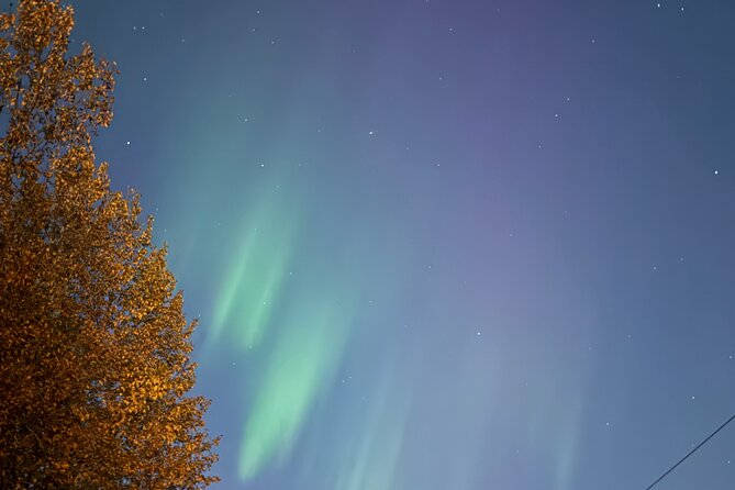 Full Day Anchorage Tour with Alaskan Guide - Mount Alyeska and Waterfalls at Alyeska Ski Area