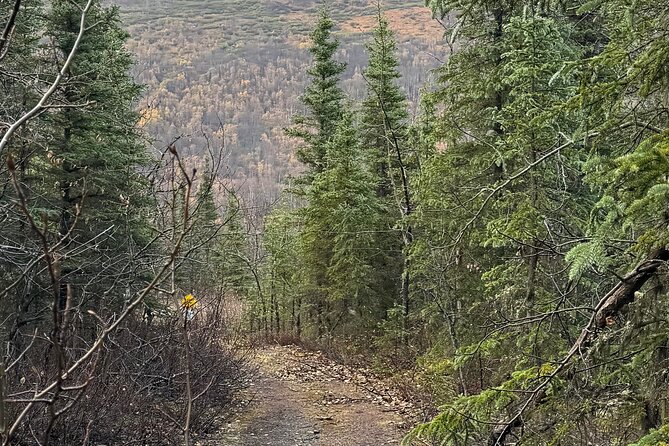 Full Day Anchorage Tour with Alaskan Guide - Salmon Hatchery Visit at William Jack Hernandez Sport Fish Hatchery