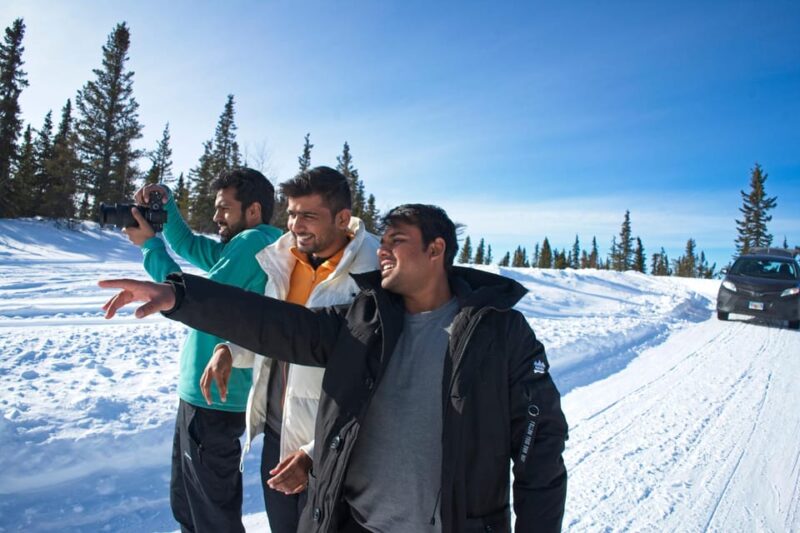 Full Day Arctic Circle Adventure From Fairbanks - Arctic Night Tours: The Experience Provider