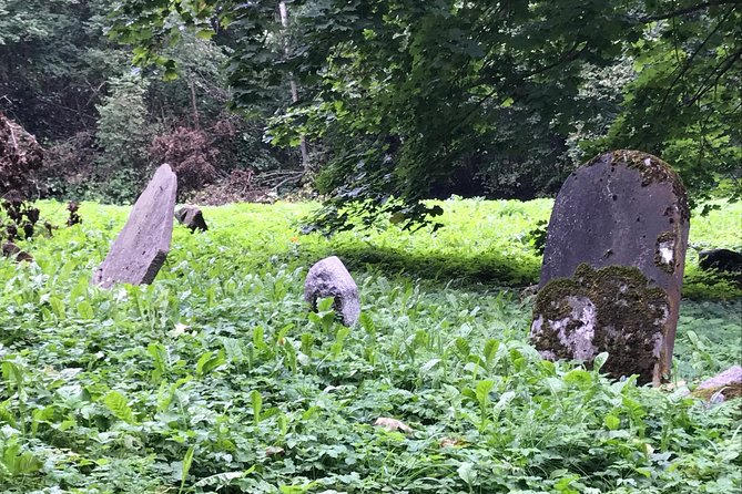 Full day around Lithuania: Jewish Finding Family Roots Trip - Practical Details: Transportation, Assistance, and Comfort