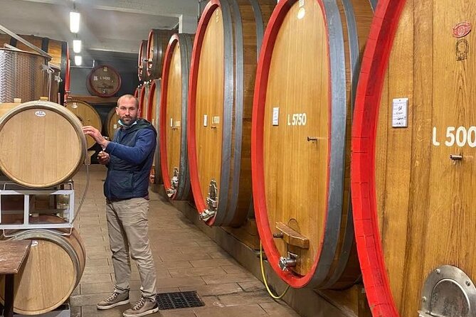 Full day Barolo&Barbaresco Wine Tour from Torino with a local winemaker - An Authentic Full-Day Tour of Piemonte’s Wine Regions from Turin