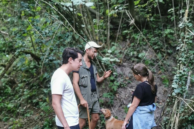 Full day Barolo&Barbaresco Wine Tour from Torino with a local winemaker - Exploring Barbaresco from Its Namesake Village
