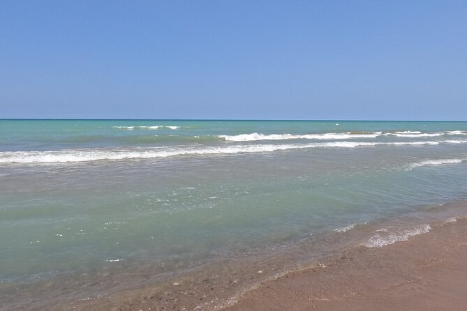 Full-Day Beach Day at Grand Bend - Key Points