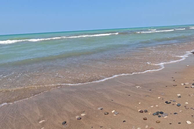 Full-Day Beach Day at Grand Bend - Return Journey and Group Size