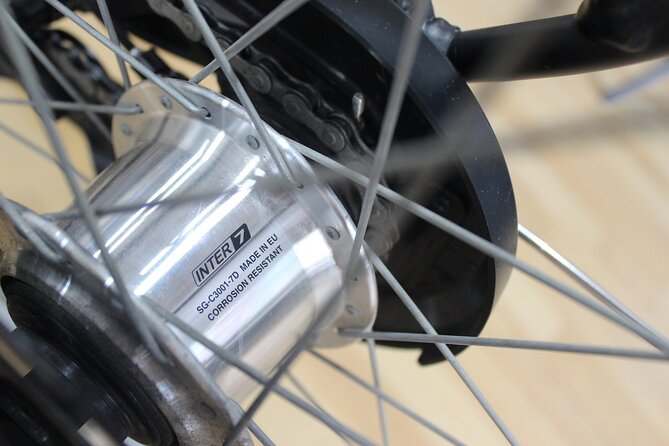 Full Day Bike Rental in Malaga - Exploring Malaga’s Highlights on a Bicycle