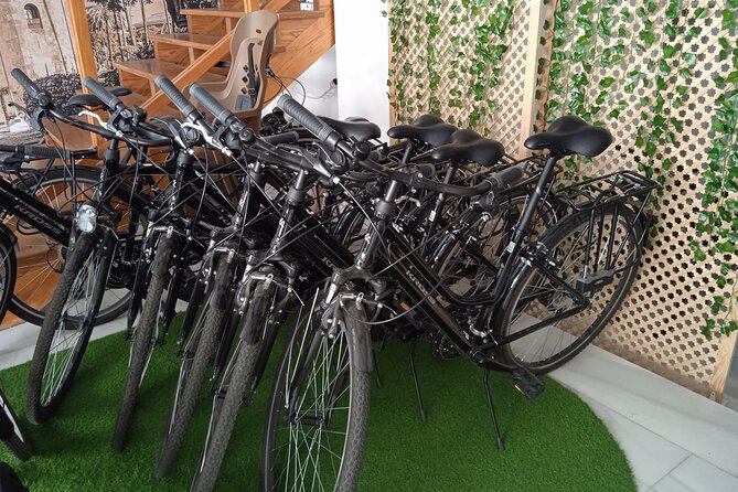 Full Day Bike Rental in Seville - Discover Seville at Your Own Pace with Bike Rental