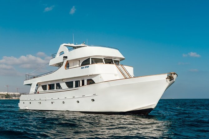 Full Day Blue Lagoon Cruise (Paphos to Latchi) - Sea Star - The Experience of the Swim Stops