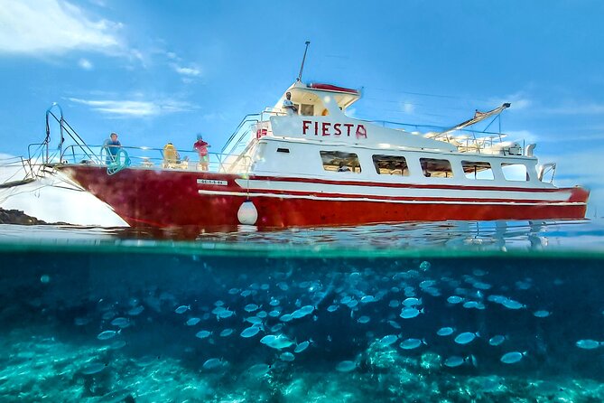 Full day boat tour transfers & lunch included - Practicalities and Accessibility