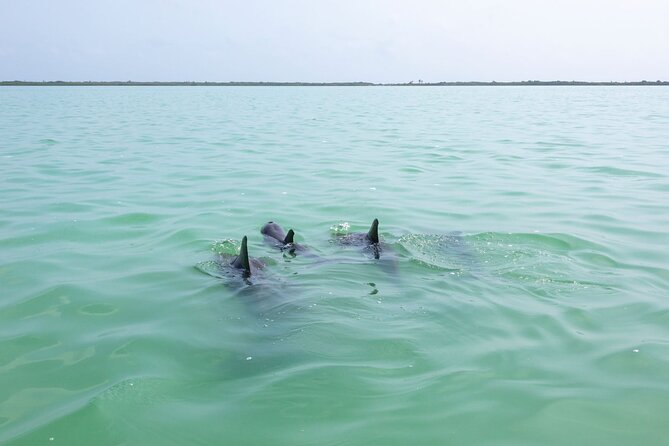 Full Day Boat Tour with Open Bar and Lunch in Riviera Maya - On-Board Cuisine: Tasty Lunch and Open Bar