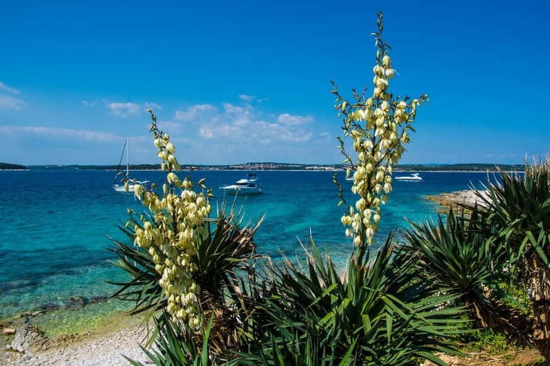 Full-Day Boat Trip, Cave Swim, lunch & Drinks - Medulin/Ceja - Explore Istrias Coastline with a Full-Day Boat Trip from Medulin