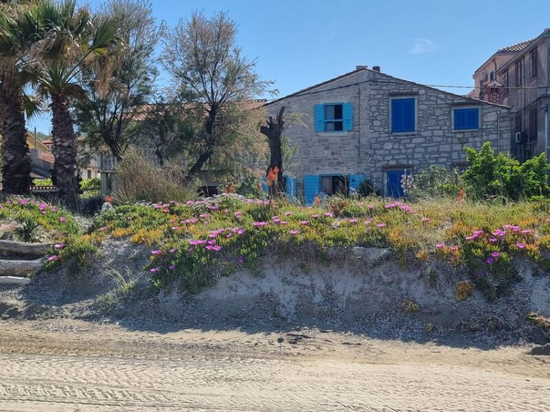Full day boat-trip Medulin, blue Cave, Cres + dolphin search - Cruising Past Cress Rocky Cliffs and Lighthouse