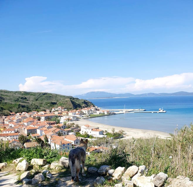 Full day boat-trip Medulin, blue Cave, Cres + dolphin search - Practical Tips and What to Expect