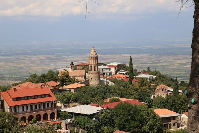Full Day Bodbe Sighnaghi and Telavi Wine Tasting Tour - Why This Tour Stands Out