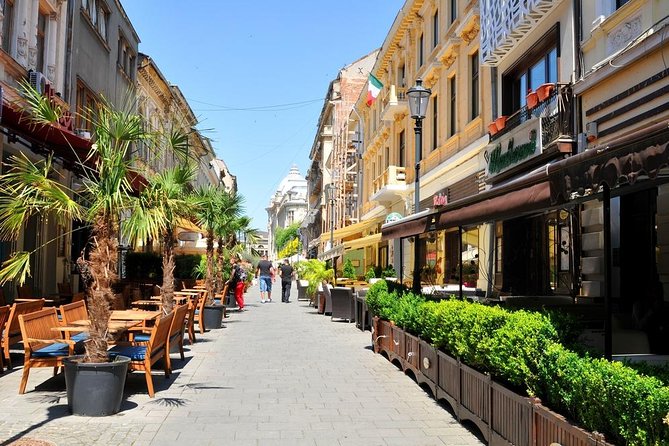 Full-Day Bucharest City Tour - Starting Point: Hotel Pickup and Private Transport