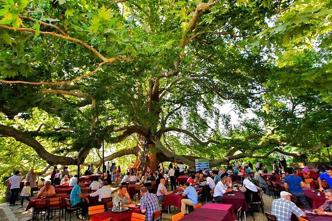 Full Day Bursa Tour from Istanbul(with cable car) - Practicalities and Tour Logistics