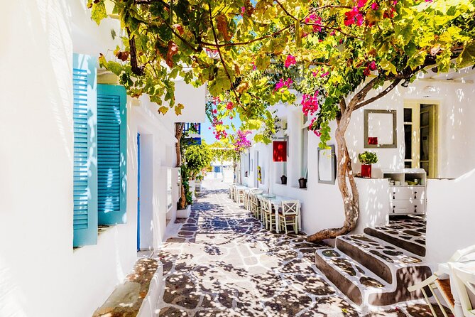 Full Day Bus Tour in Paros and Antiparos Islands from Paros - The Guide Experience: Knowledgeable and Personable