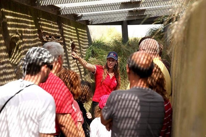 Full-Day Canadian Battlefields and sites Normandy Tour - Walking Through Juno Beach and Its Historic Sands