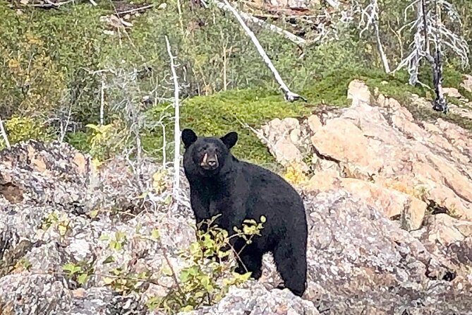 Full Day Canyon fishing trip - The Scenic Beauty of Kenai Canyon