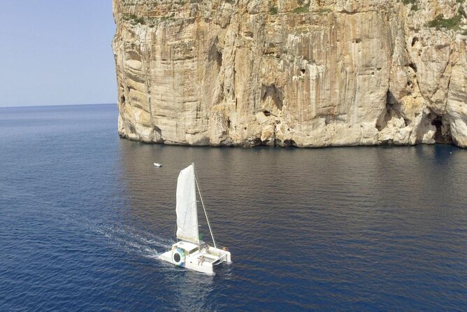 Full day Catamaran cruise in Porto Conte Natural Park - Physical Requirements and Accessibility