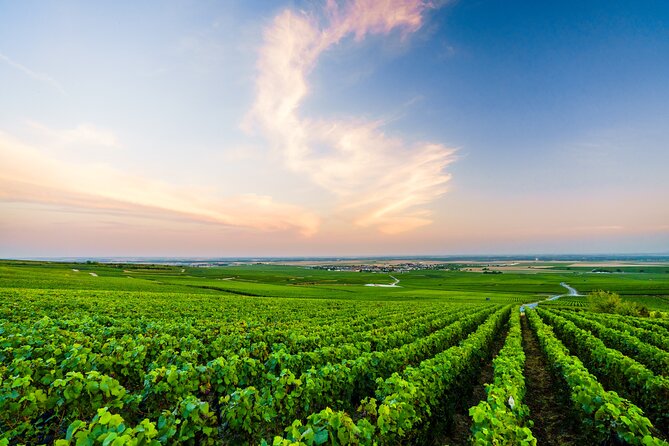 Full Day Champagne Pommery Small Group Tour - Drive Along Épernay’s Avenue de Champagne