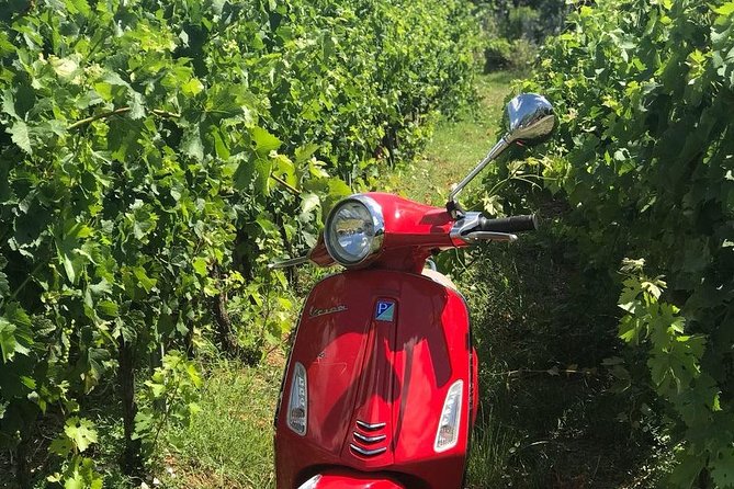 Full-Day Chianti Tour by Vespa Scooter from San Gimignano - Visits to Radda in Chianti and Monteriggioni Villages