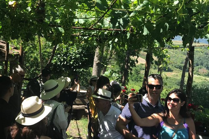 Full-Day Chianti Tour by Vespa Scooter from San Gimignano - Riding the Vespa: Passenger or Driver Experience