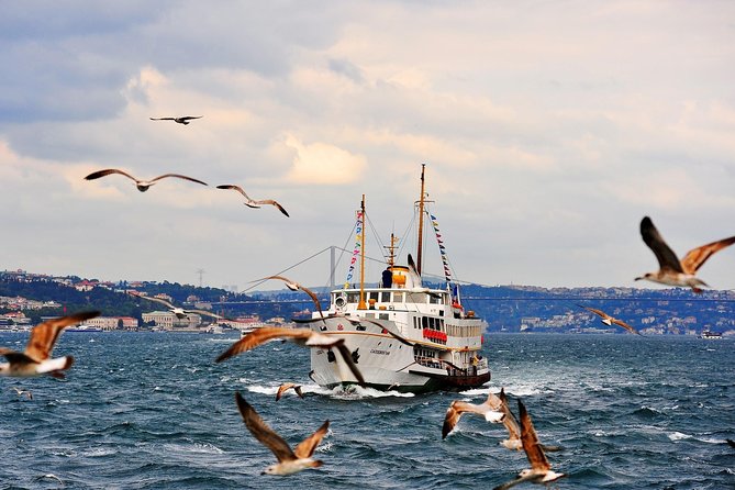 Full Day Cruise Tour in Bosphorus and Two Continents - Practical Details: Transportation and Meals
