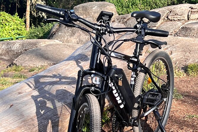 Full Day E-Bike Rental in San Francisco Charger Included! - The Meeting Point at Andersen Bakery on Market Street